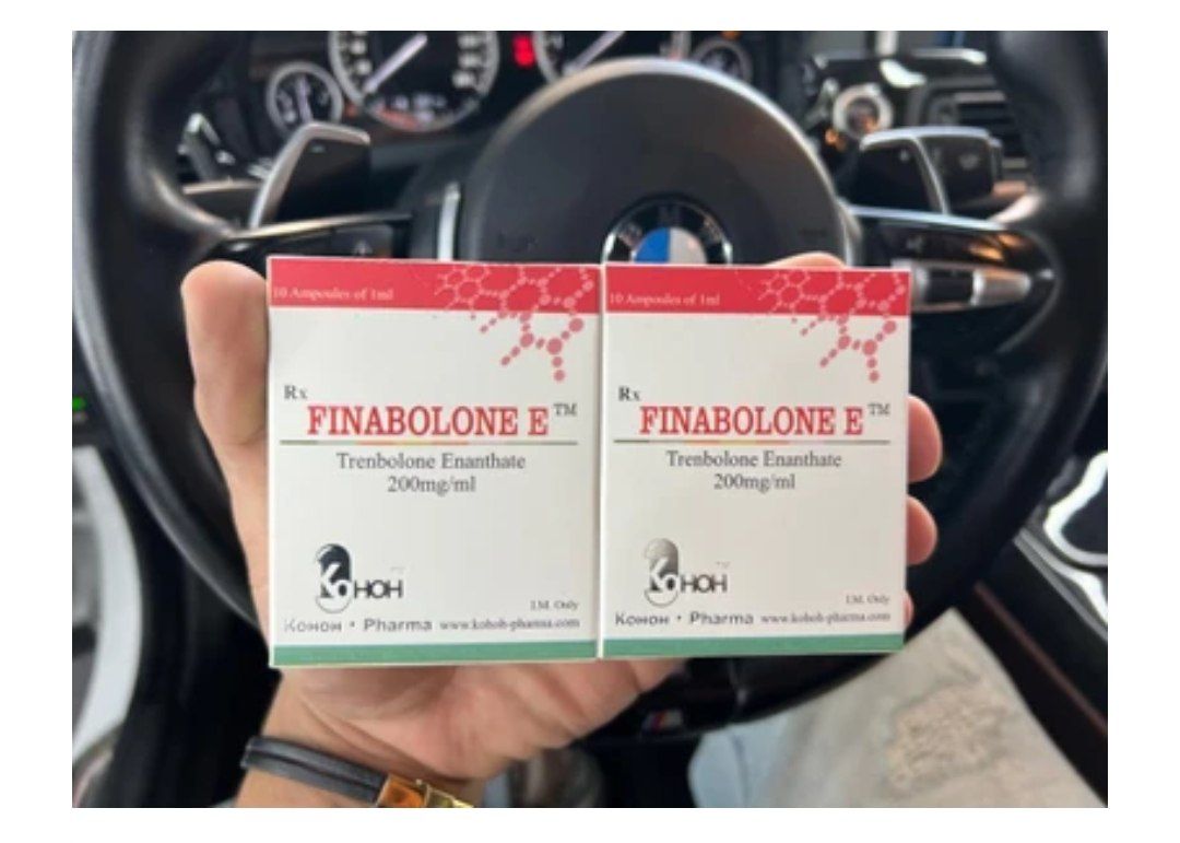 ترن آن انتات کوه پارما